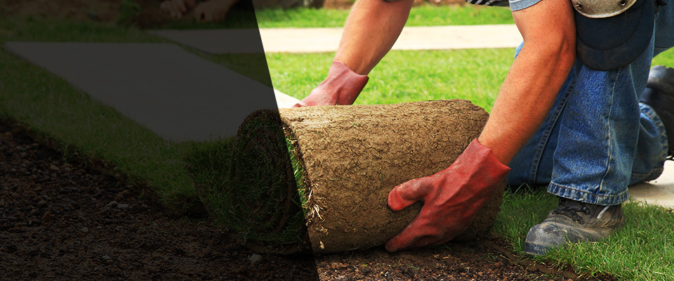 Flowood Landscapers